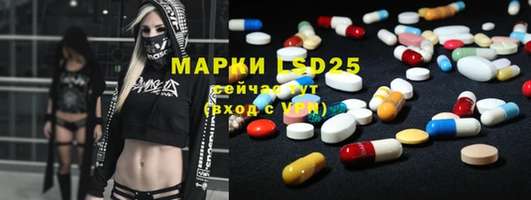 дживик Богородицк