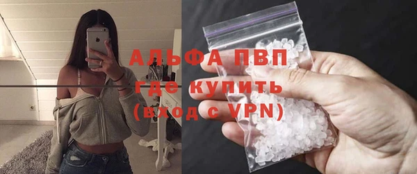 метадон Богданович