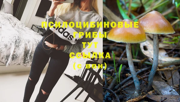 дживик Богородицк