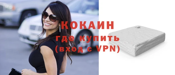 дживик Богородицк