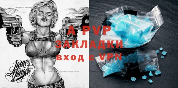 дживик Богородицк