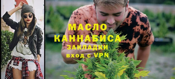 дживик Богородицк