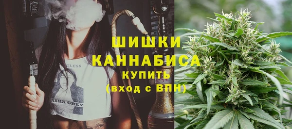 дживик Богородицк