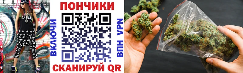 Бошки марихуана OG Kush  купить наркотики цена  Красновишерск 